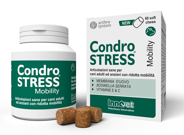 CONDROSTRESS MOBILITY 60 SOFT CHEWS - pharmaluna